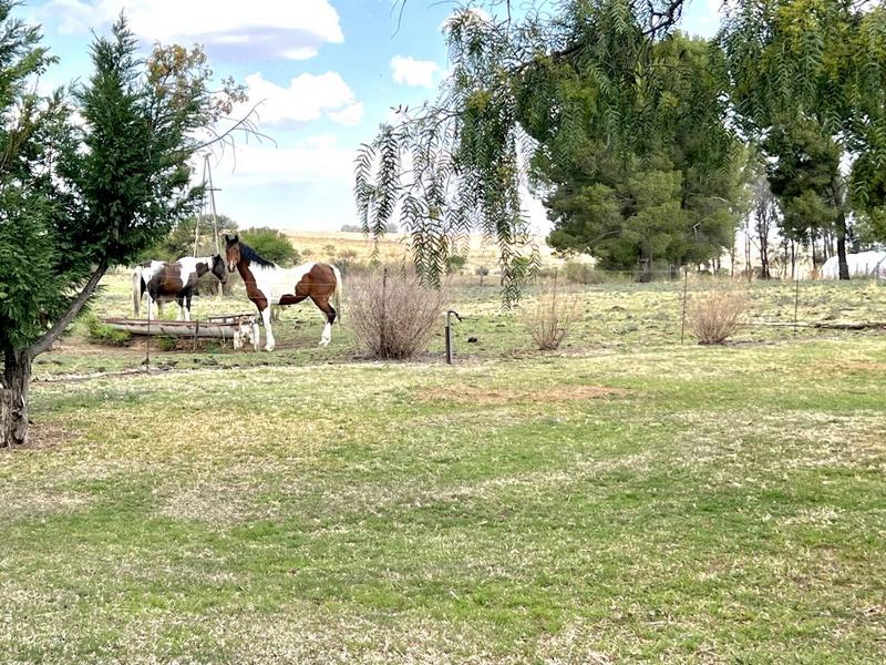 0 Bedroom Property for Sale in Senekal Free State
